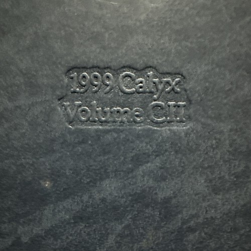 The Calyx 1999 Washington and Lee University Yearbook Lexington Virginia - Picture 4 of 10