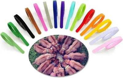 XCOZU 15 Stück Welpenhalsband, Einstellbar Welpen Kitten Halsbänder Set H