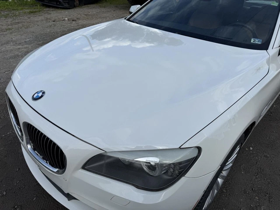 BMW 750i 2009-2015 capó blanco Foto 3 de 4