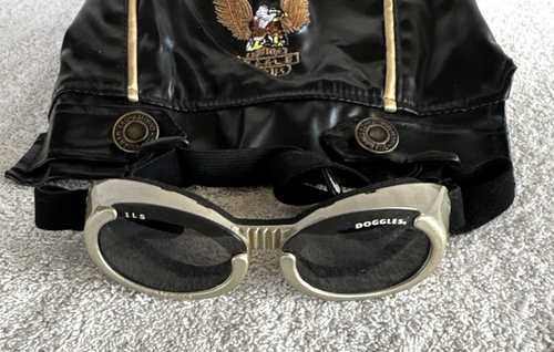 Hund Leder Motorrad Stil süße Jacke & Brille Kleidung/Knöpfe wasserdicht - Bild 9 von 18