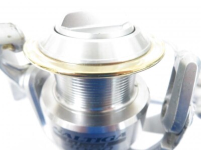 SALTIGA　blast 4000 Daiwa Saltiga Blast 4000 Spinning Fishing Reel | eBay
