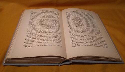 Wives Win by Florence Riddell 1931 Hardcover Vintage - Picture 19 of 20