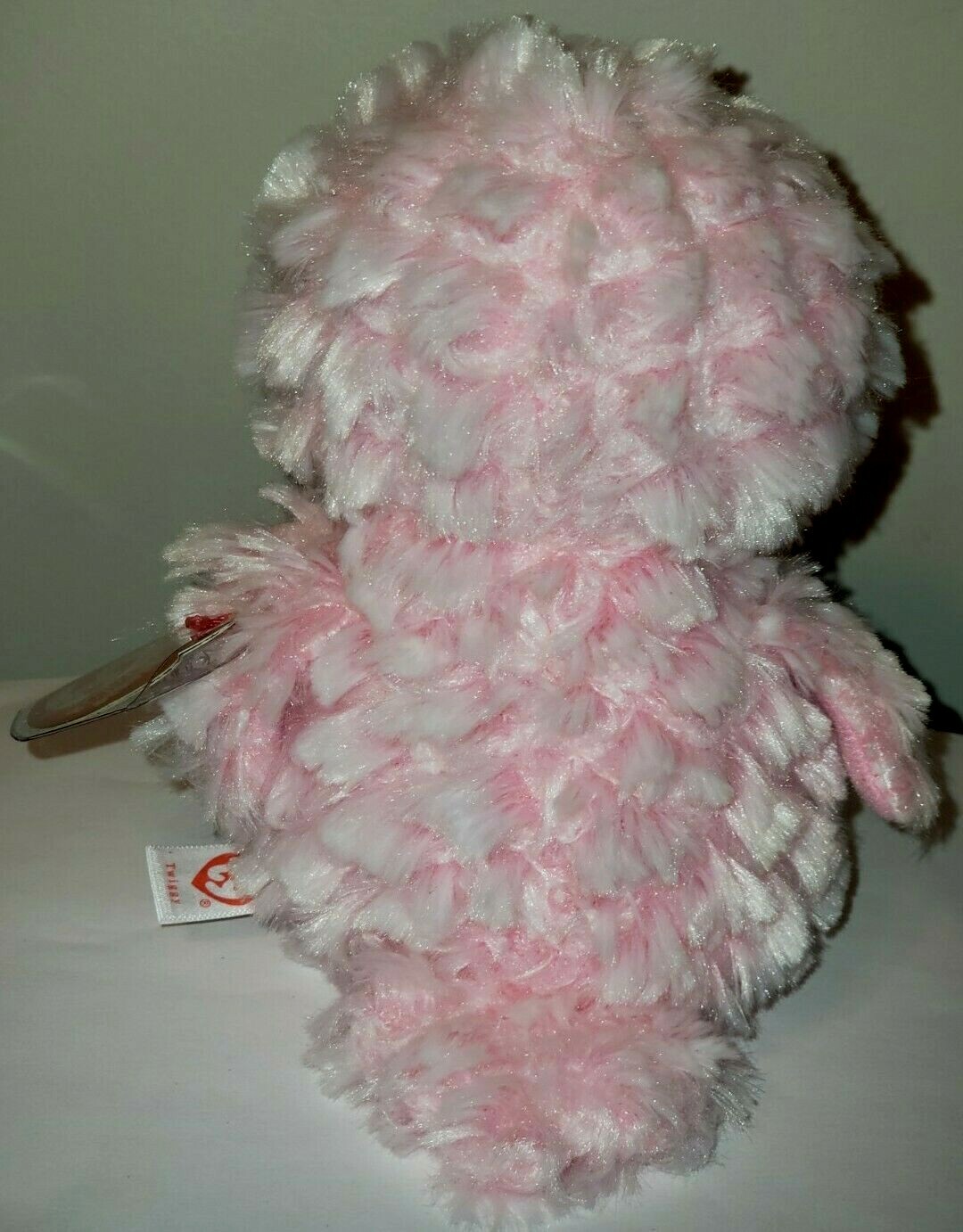 Picture 5 of 6