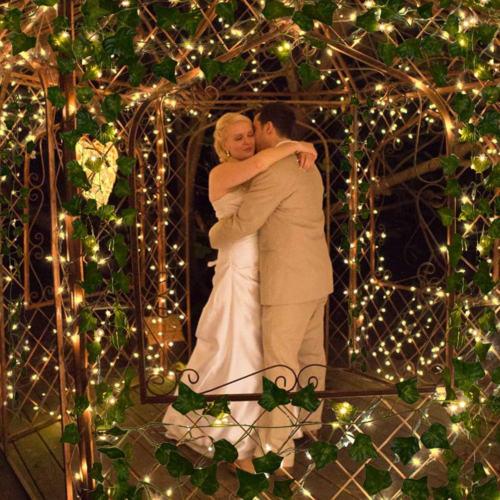 168 FT Artificial Ivy 24 Pack Ivy Vine Garland Ivy Leaves Greenery Garlands Clip - Picture 9 of 9