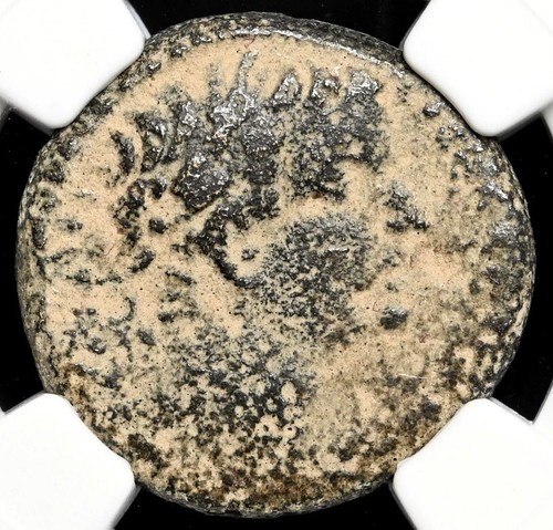 Tiberius AD 14-37, Antioch AE 21 Jesus Bible SC Coin Roman Empire, Authentic NGC - Picture 2 of 5