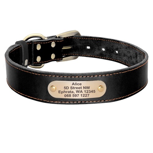Cuello de Perro Personalizado de Cuero Genuino Personalizado Mascota Cachorro Gato Nombre Etiqueta Grabada - Imagen 6 de 24