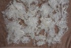 Bild 8 von 10