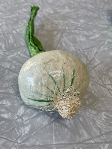 Vegetable Props Staging Decor Folk Art Lot of 9 Paper Mache. Mushroom Peas Onion - Picture 12 of 13