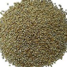 Bajra Grain Kambhu Pearl Millet Whole Grain Freshly Pack Bajara FREE SHIPPING