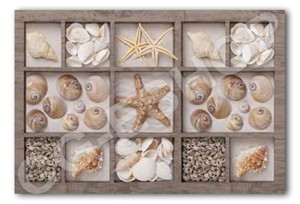 TAPPETO PASSATOIA PER CUCINA MODERNO MARE CONGHIGLIE cm 60x90 115 ... TAPPETO PASSATOIA PER CUCINA MODERNO MARE CONGHIGLIE cm 60x90 115 ...