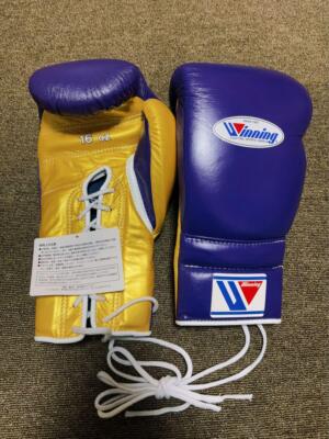 ボクシング グローブ 紫と金 WINBOXING WIN-BOXING/WBG-H004/ボクシンググローブ | ウィンボクシング
