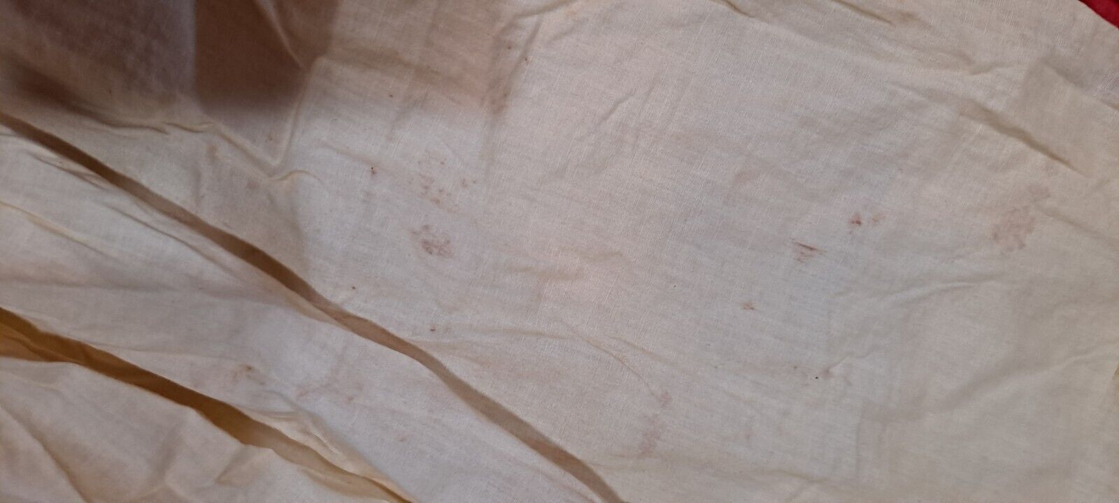 Picture 12 of 15