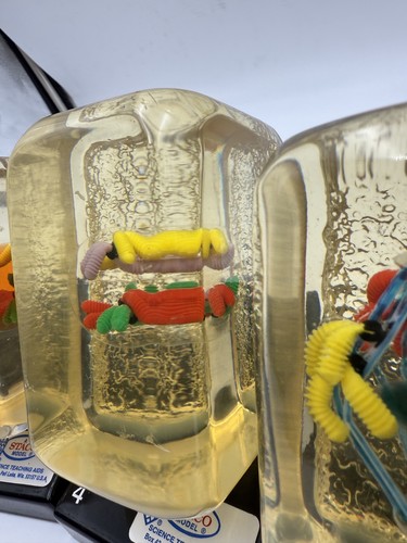 Vintage STACO Deluxe Animal Cell Division Biology Model Set - Picture 14 of 20