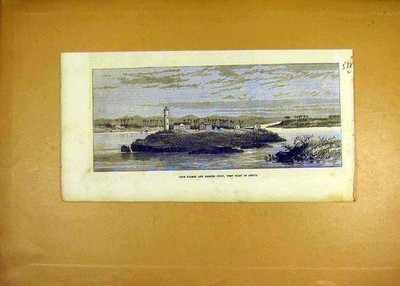 Original Old Antique Print Cape Palmas Harper Town West-Coast Africa 1873 19th