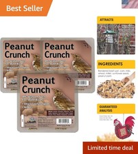 High Energy Peanut Suet Cakes Sample Pack - Attract Wild Songbirds Effortlessly