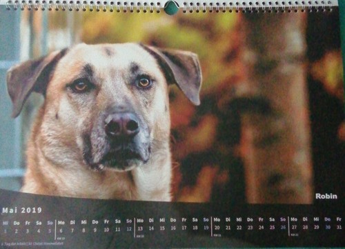 Calendario Intense Colours Photos 2019 (2019) buen estado - Imagen 6 de 12