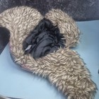 Bild 6 von 8