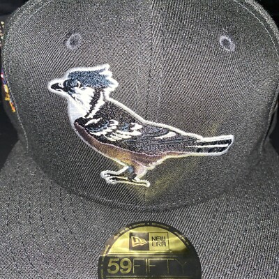 7 1/2 Camden Legends 2015 League Black Bird Logo Custom Gray Bottom UV Fitted