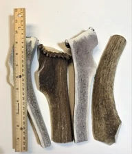 2 POUNDS Premium Grade A Elk/Deer Split Antler Dog Chews Treats - XL and JUMBO