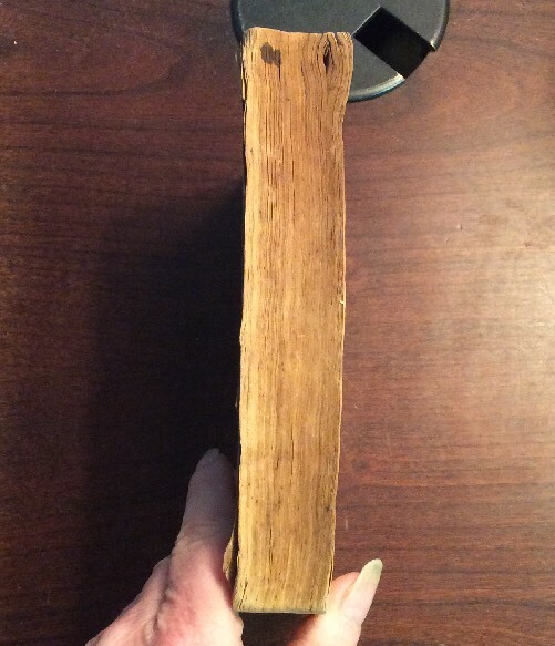 Picture 5 of 12