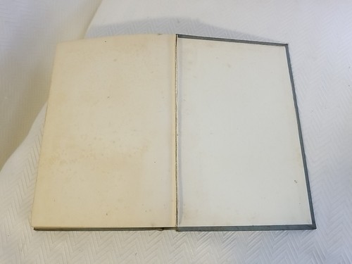 Robert C Brown, What Happened to Mary, First Edition 1913 Edward J Clode - Picture 12 of 13