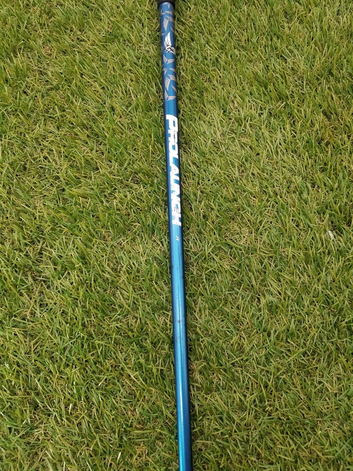 Picture 5 of 7