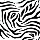 Bild 88 von 91