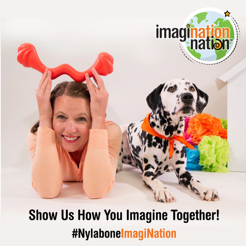 Eggi Interactive Dog Toy, Lightweight Bouncy Treat Toy, Creative Play & Exercise - Picture 8 of 12