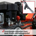Bild 5 von 12