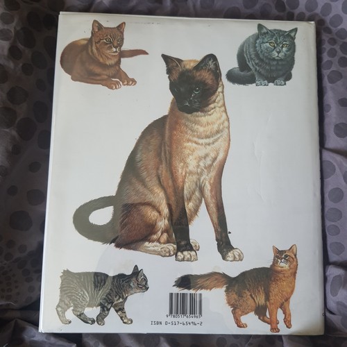 Lot Of 3 Cat Books CATS OF THE WORLD By Eugenia Natoli Sommerville Bessant - Bild 8 von 19