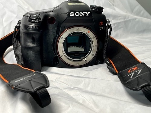 Caméra Sony Alpha SLT-A77 - Photo 4 sur 6