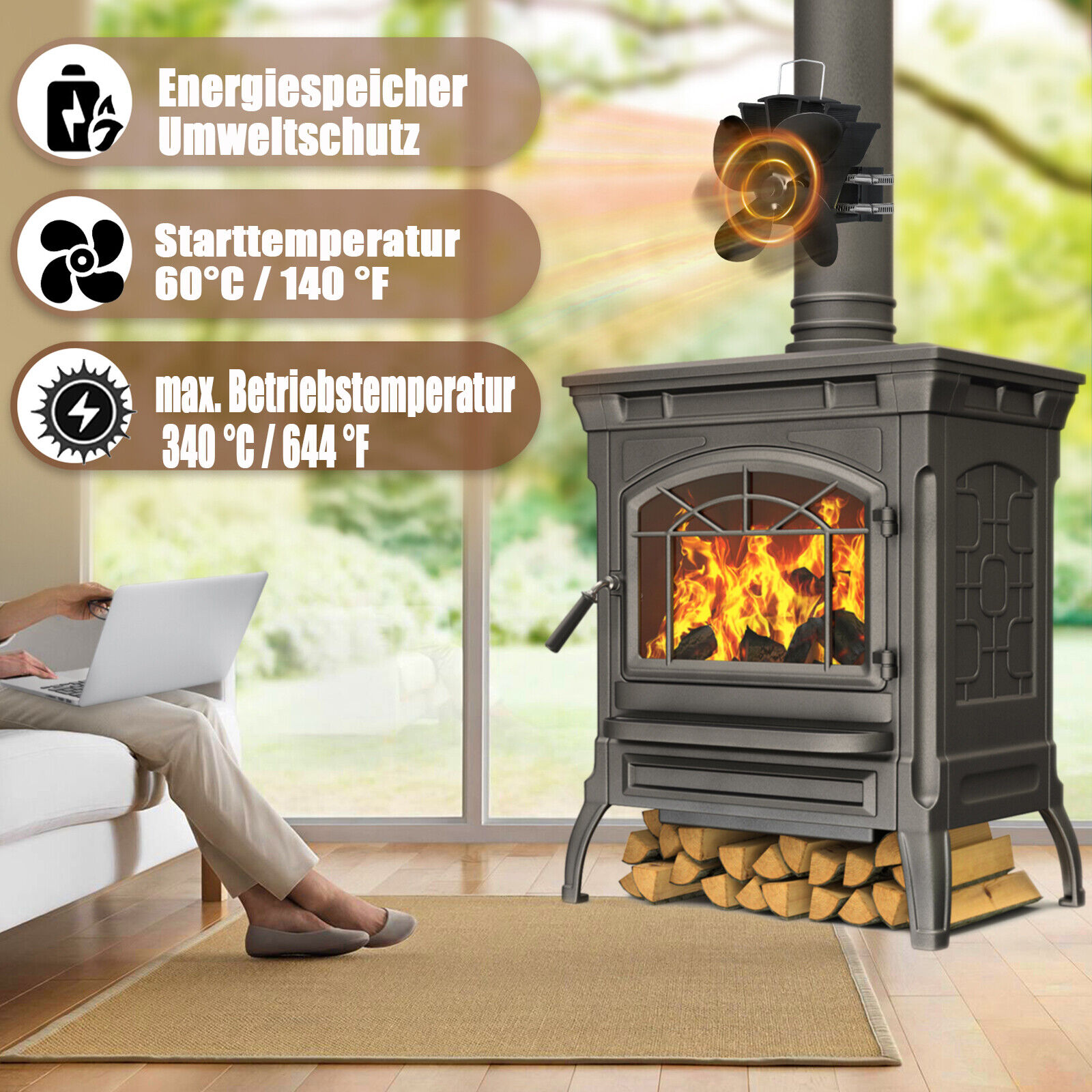 Bild 4 von 12