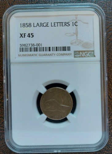 NGC XF-45 1858 Large Letters Flying Eagle Cent DDO 5/19 - Picture 11 of 12