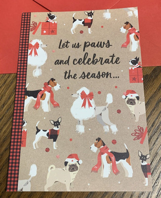 Merry Christmas Funny Dog Let Us Paws And Celebrate 5''x7'' Hallmark Greeting Card