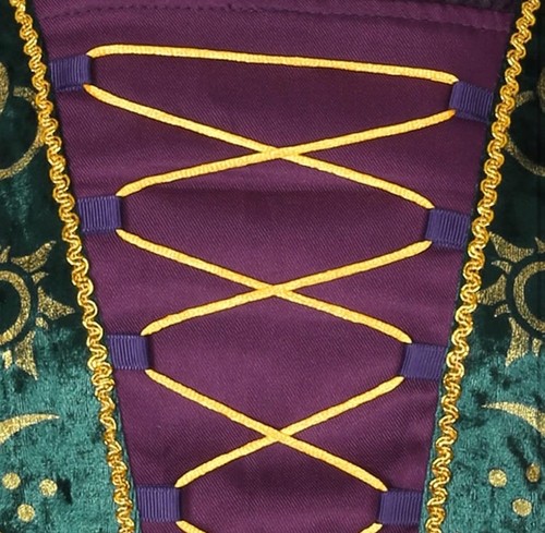 Costume strega donna Winifred Sanderson sorelle Hocus Pocus Halloween taglia small - Foto 3 di 20