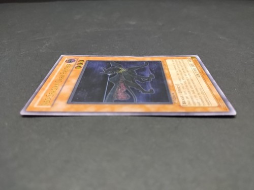 Neo-Spacian Dark Panther POTD-EN005 Power of the Duelist-1st Edition - Picture 4 of 15