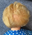 Bild 8 von 12