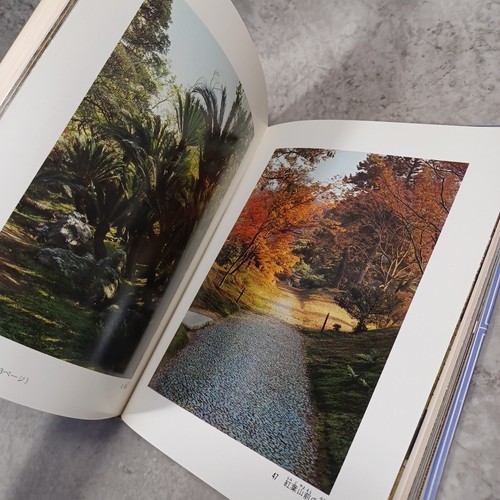 Katsura Imperial Villa:Temple Shrine Japanese Tearoom - Imagen 16 de 24