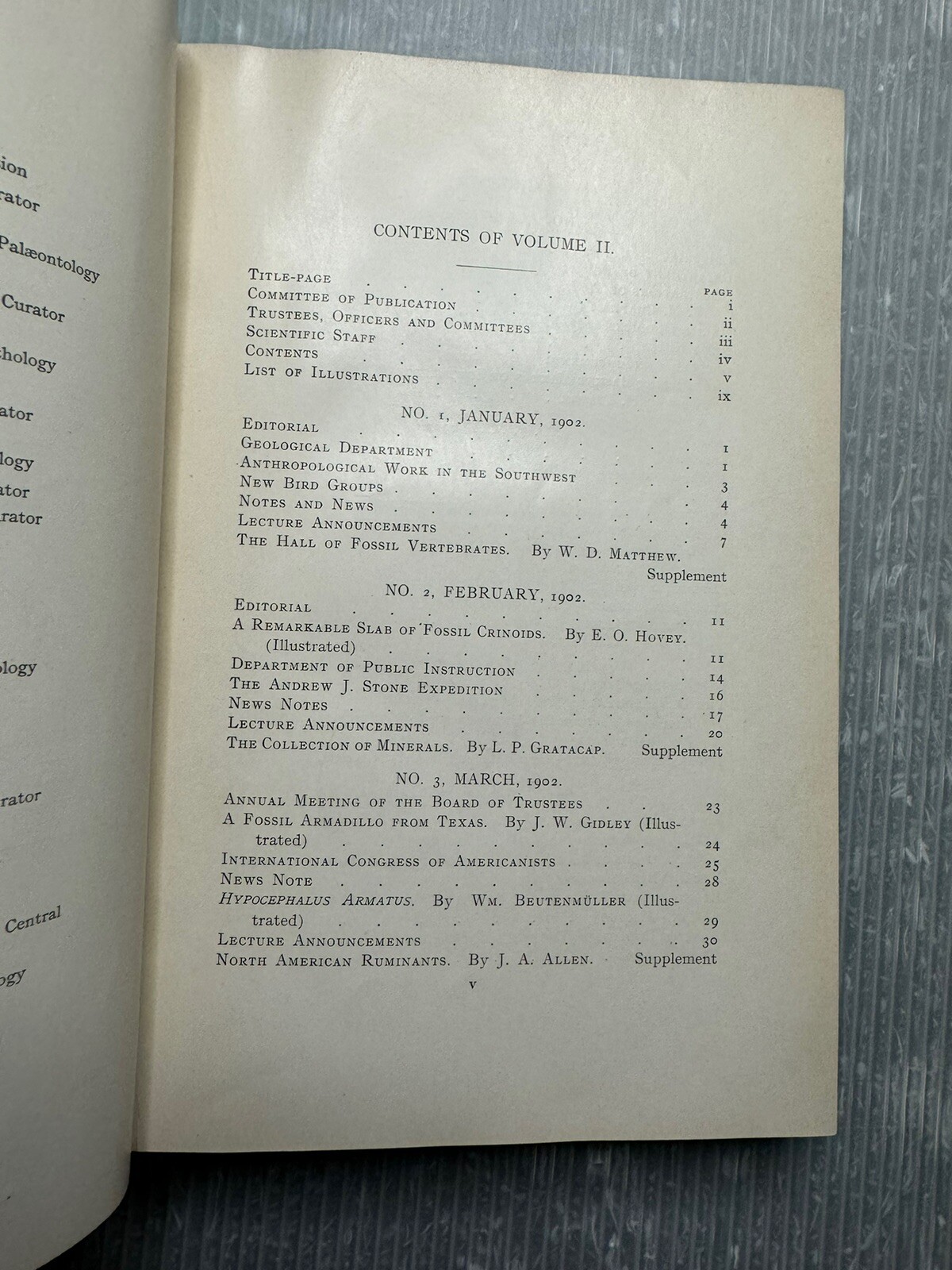 Picture 4 of 21