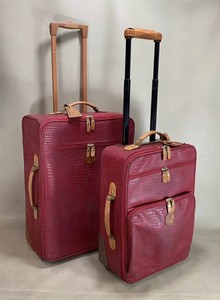 brics safari luggage