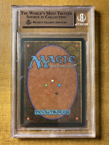 MTG✨ HAMMERHEIM✨Legends BGS 9.5++ GEM MINT with 2-10’s 1994 Legendary Land MTG - Picture 2 of 2