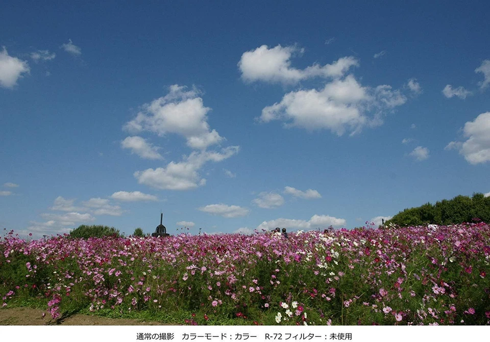 Kenko camera filter PRO1D R-72 52mm for monochrome photography 325209 - Image 2 of 4