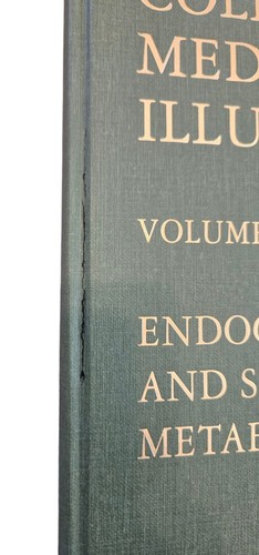 Netter, Frank H. The Netter Collection of Medical Illustration Vol 4 Endocrine - Picture 2 of 7