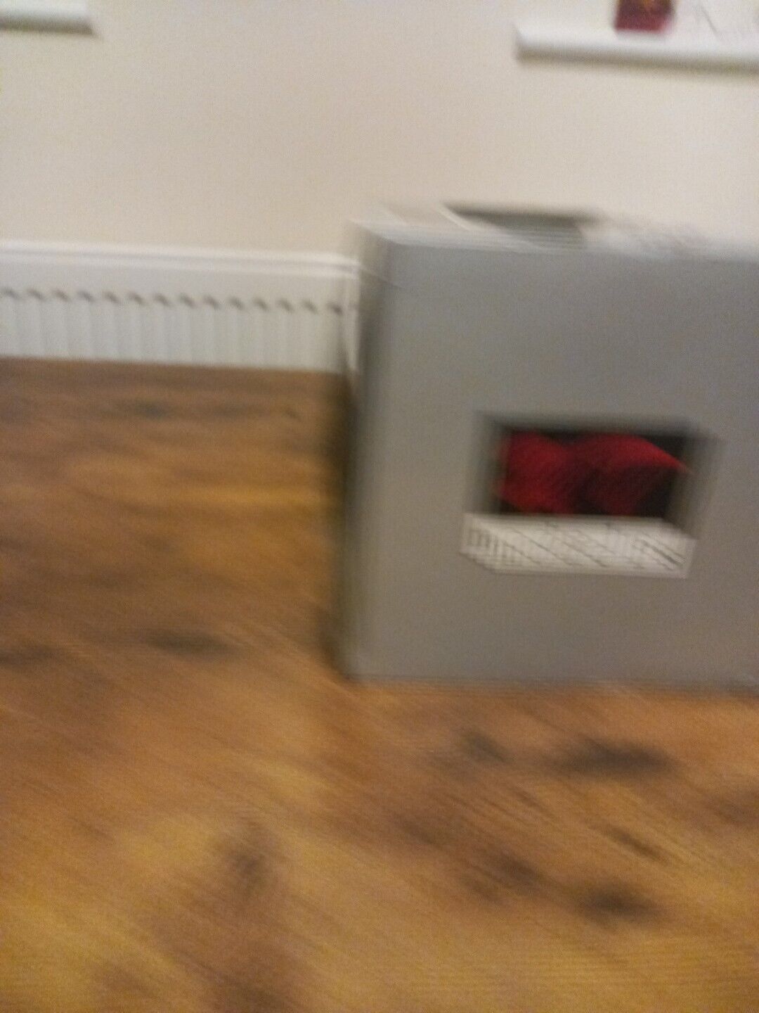 Foto 7 di 8
