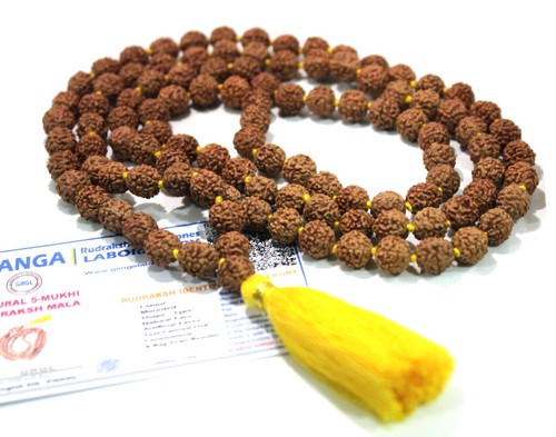 Lab Certified Rudraksha Mala Rudraksh Rosary Bead Hindu Meditation 108+1 Beads - Picture 9 of 10