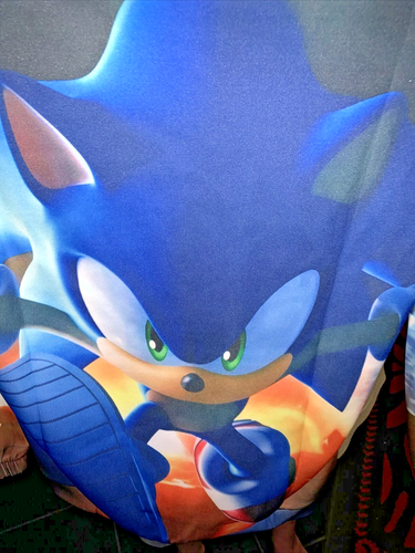 Sonic the Hedgehog Hoodie Jacket Boys Girl Kid Gotta Go Fast - Picture 6 of 9