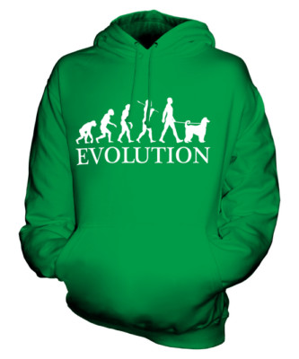 AFGHAN HOUND EVOLUTION OF MAN UNISEX HOODIE MENS WOMENS LADIES DOG KUCHI BALUCHI