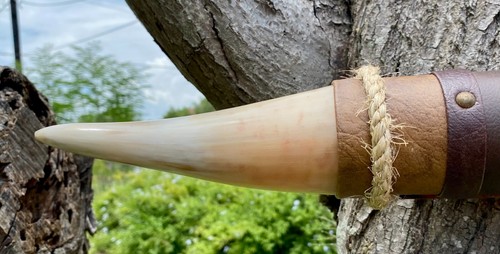 MOUNTED STEER BULL HORNS COW BOY HORN LONGHORNS 18 3/4" Tip to Tip LONG #23 - Picture 3 of 6