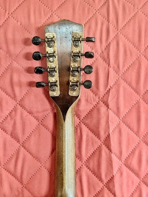 Picture 7 of 12