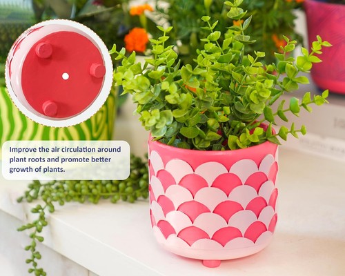 5 Inch Indoor Plant Pots with Colorful Pearl Shell Sage, Perfect for Outdoor ... - Picture 8 of 8